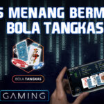 Main Card Game Bola Tangkas HKB Gaming